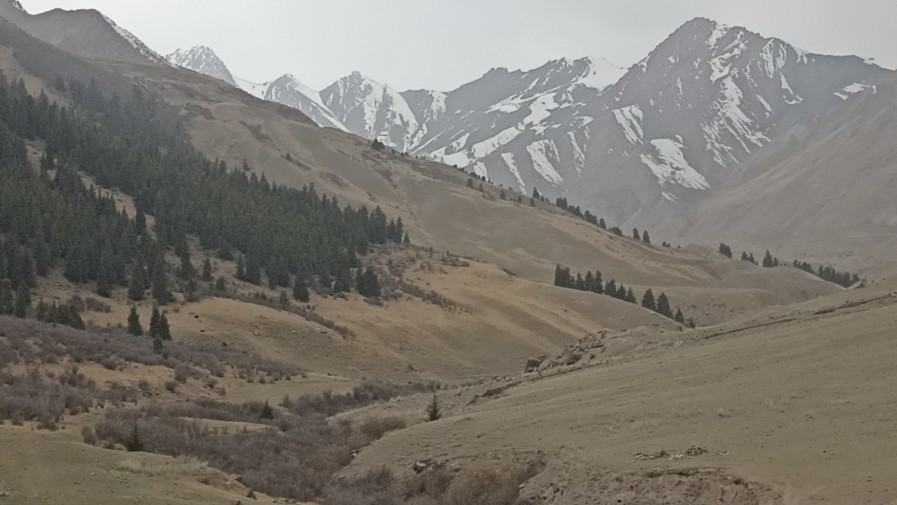 Ак падышага баш ийбей, дайынсыз жоголгон Көкүбай Торпок уулу