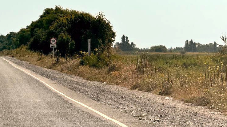 Айланма жолдо 2 «Спринтер» катышкан жол кырсыгынан 15 адам жабыркады