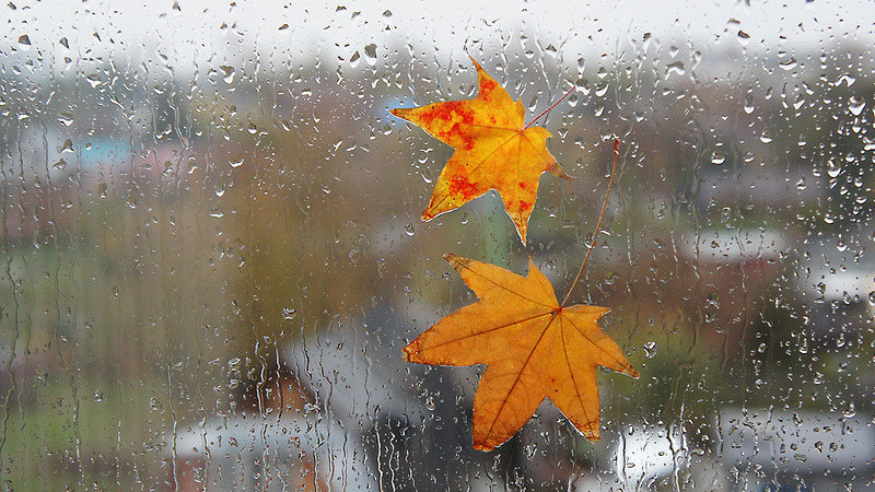 Бүгүн көпчүлүк аймактарда жамгыр жаап, тоолуу райондордо сел жүрүшү мүмкүн