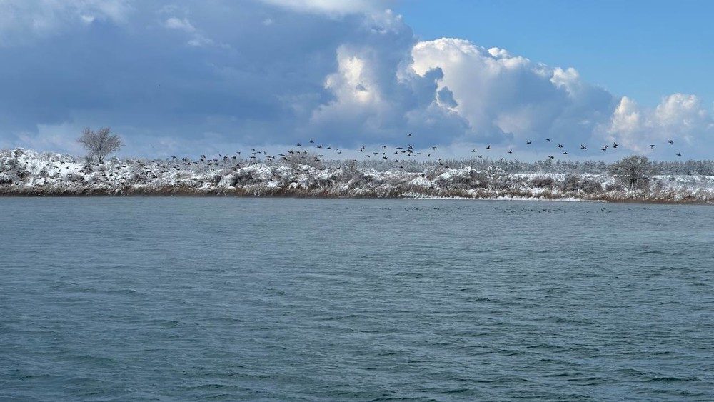 2024-жылы Кыргызстанда 3,6 млн турист эс алды