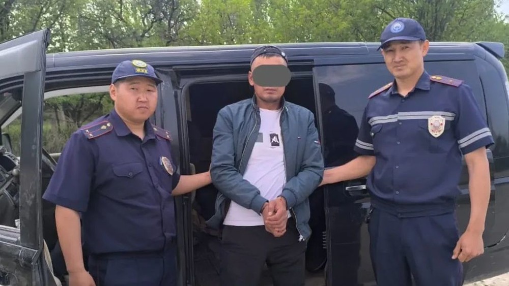 Сүрөт — Таласта унааны айдап качкан жаран кармалды