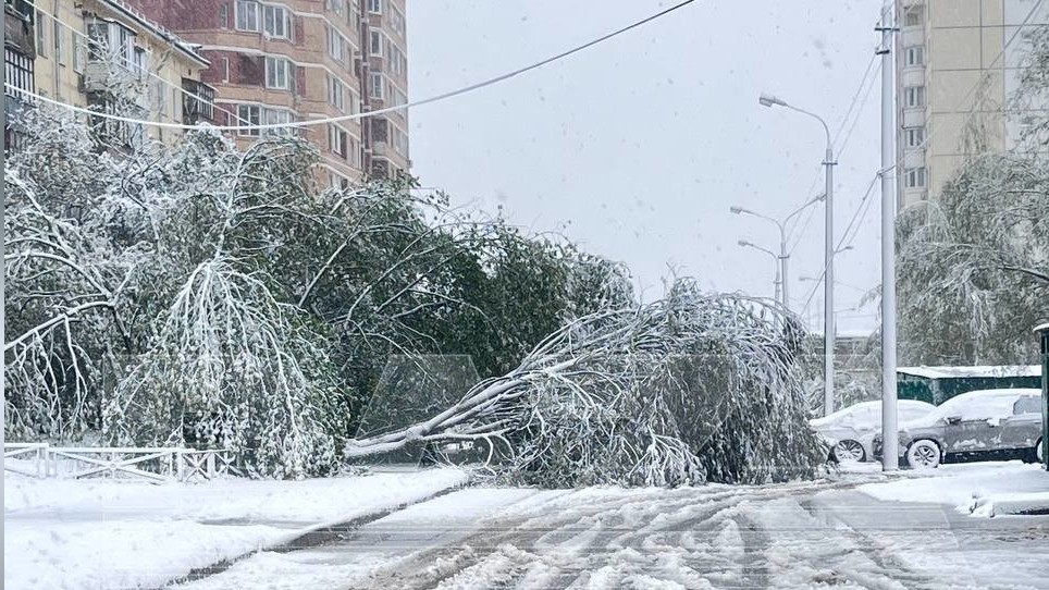 Москва шаарындагы кар 116 жыл мурдагы рекордду жаңылады