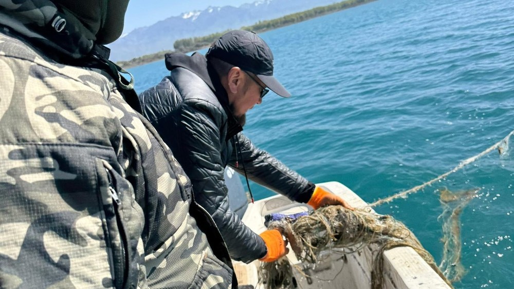 Ысык-Көлдө аянты 1500 чарчы метрди түзгөн 15 даана тор жок кылынды