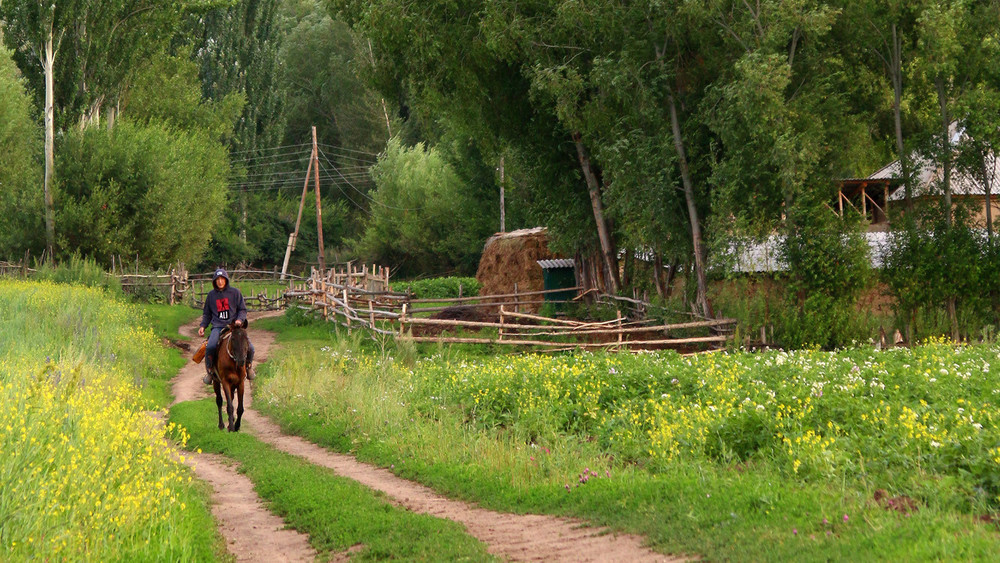 Кыргызстанда 5 жаңы айыл пайда болду