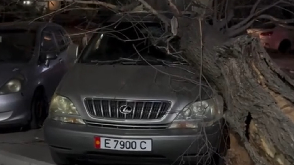 Бишкектеги катуу шамалдын кесепеттери