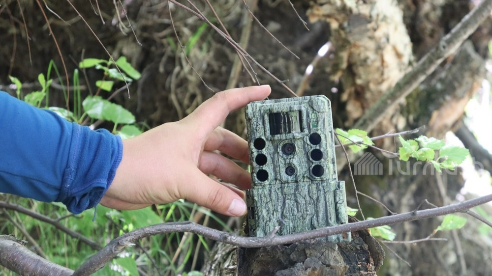 Тогуз-Тородогу «Саймалуу-Таш» жаратылыш паркына фотокапкандар коюлду