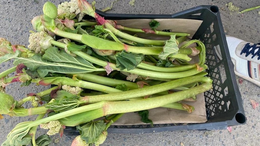 Каракол базарларында ышкындын акыркы түшүмү сатыкка чыкты