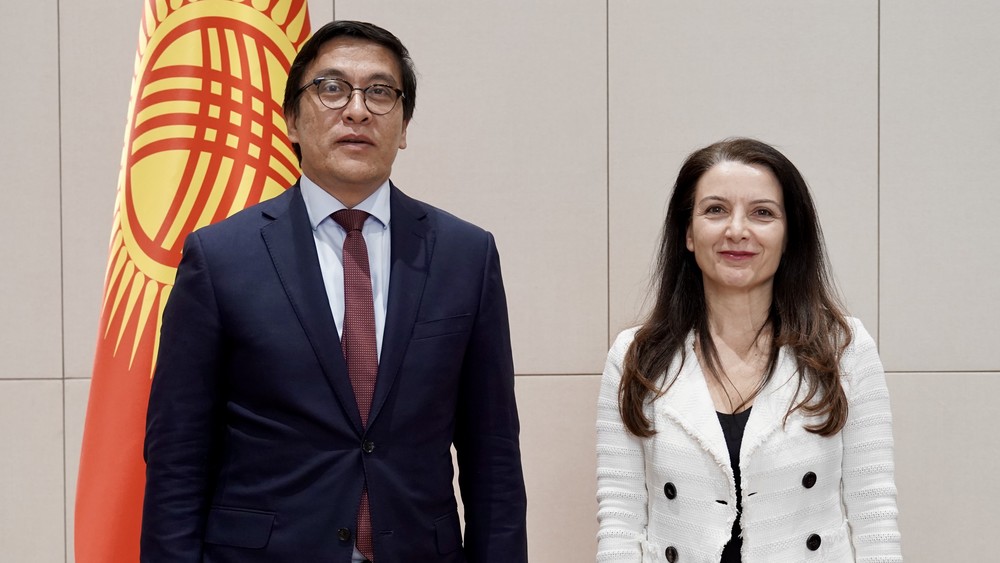 Минкаб төрагасынын орун басары БУУнун Балдар фондунун Европа жана Борбордук Азия боюнча аймактык директору менен жолукту