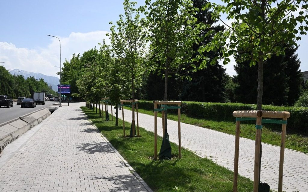 За два года в Алматы высадили свыше миллиона деревьев