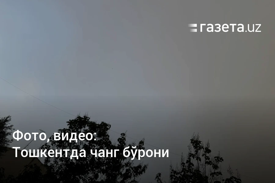 Тошкентда чанг бўрони – Ўзбекистон янгиликлари – Газета.uz