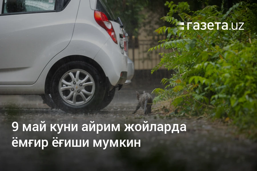 9 май куни айрим жойларда ёмғир ёғиши мумкин – Ўзбекистон янгиликлари – Газета.uz