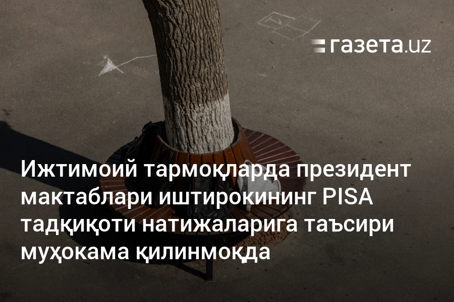 Ижтимоий тармоқларда президент мактаблари иштирокининг PISA тадқиқоти натижаларига таъсири муҳокама қилинмоқда