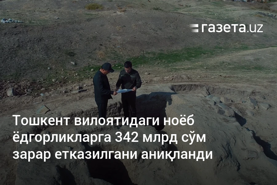 Тошкент вилоятидаги ноёб ёдгорликларга 342 млрд сўм зарар етказилгани аниқланди