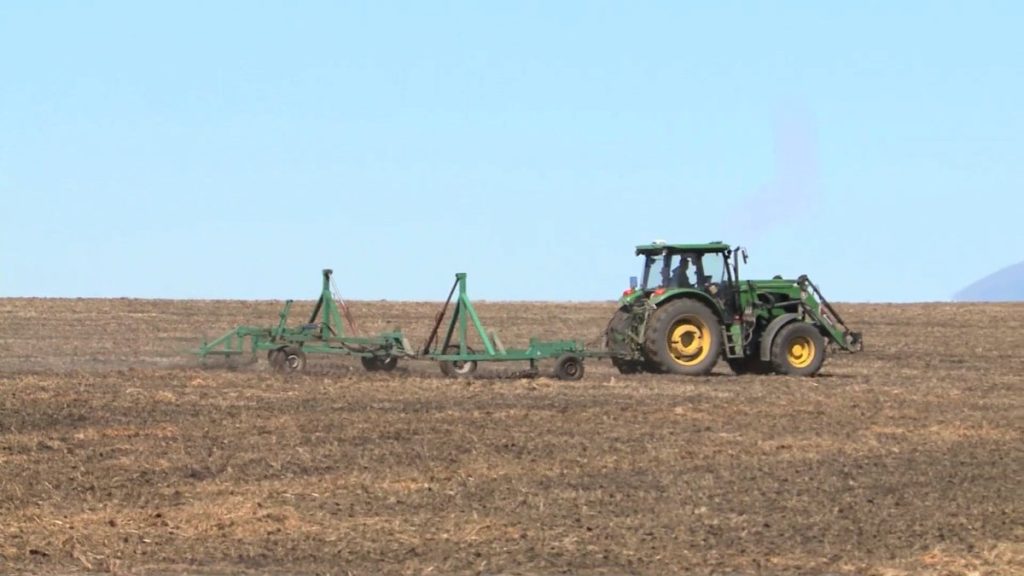 упор на масличные и зерновые культуры