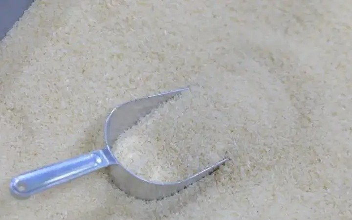 Ученые Казахстана разрабатывают два сорта риса