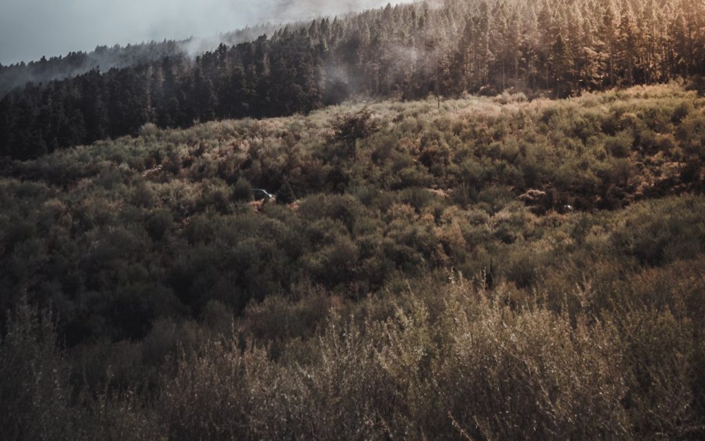 Высокая пожарная опасность сохраняется на большей части Казахстана