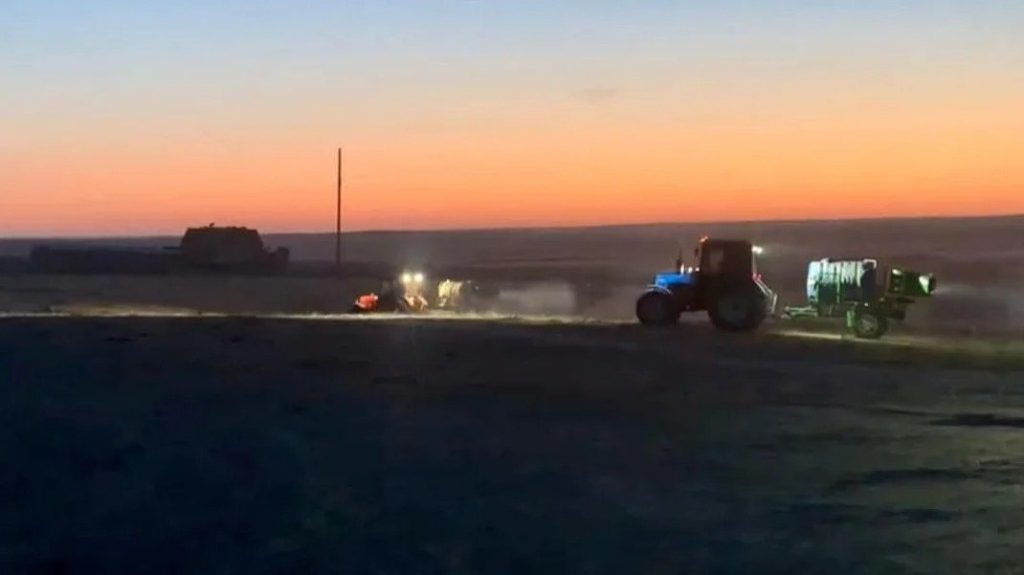 В Туркестанской области из-за жары активизировались саранчовые: обработку проводят ночью