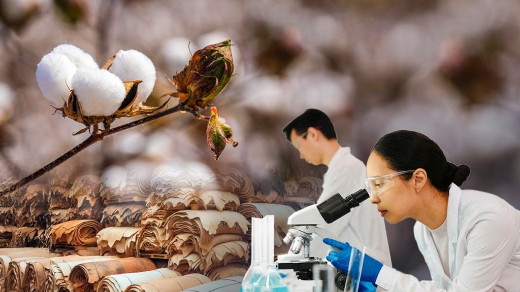 От шкур до хлопка: как живут казахстанские сельхозпереработчики