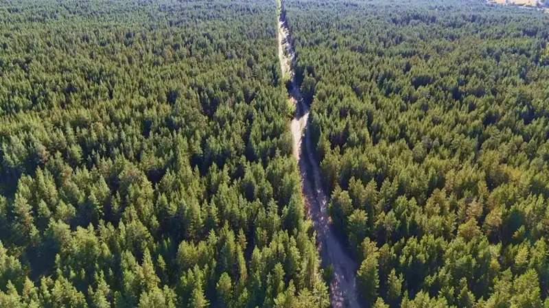 Сотрудники нацпарка в области Абай работали по поддельным дипломам