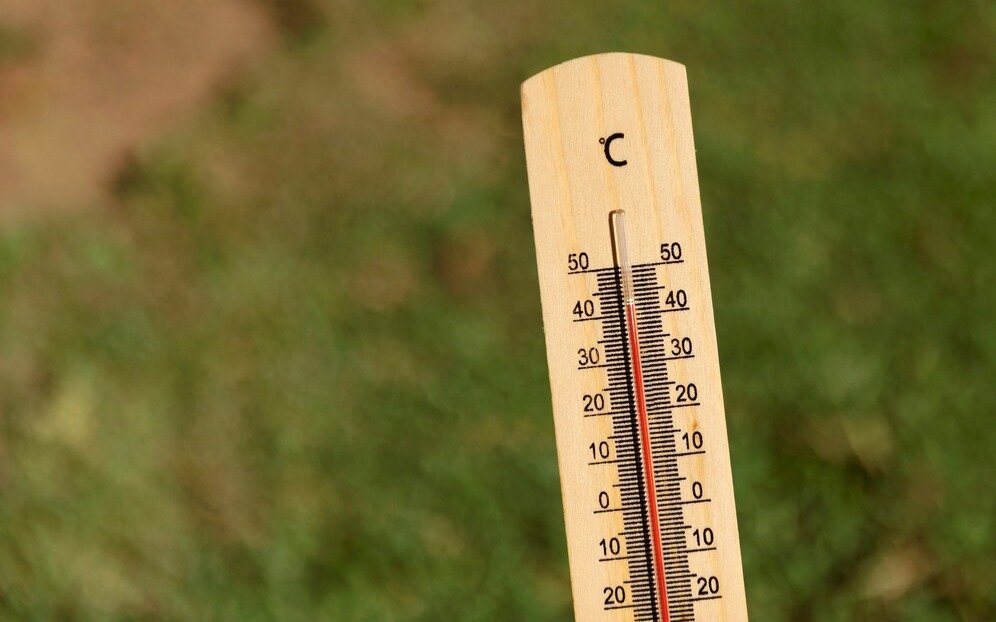 В Туркестанской области сохраняется аномальная жара