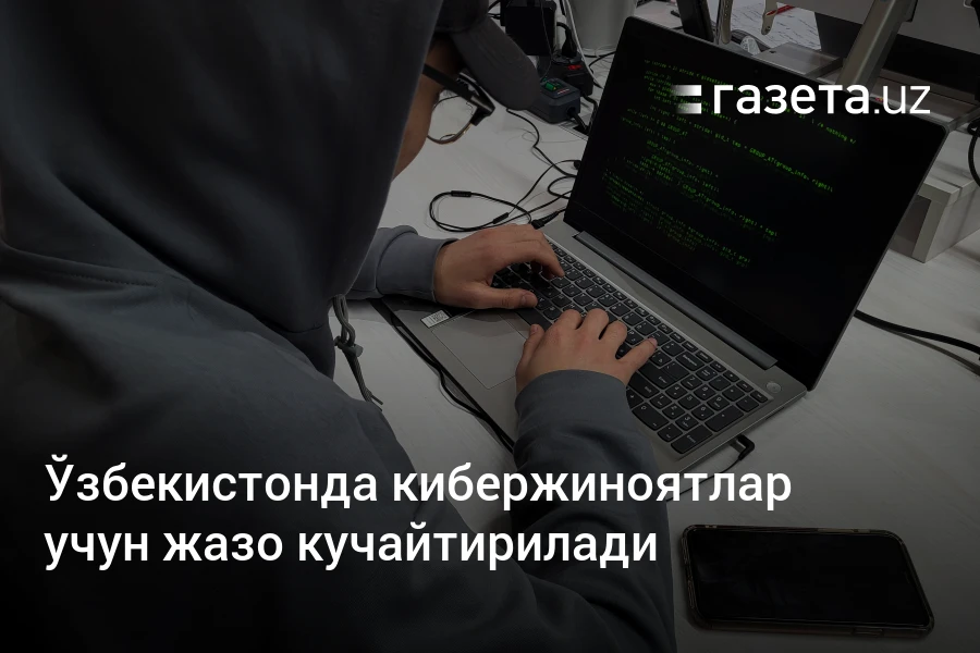 Ўзбекистонда кибержиноятлар учун жазо кучайтирилади