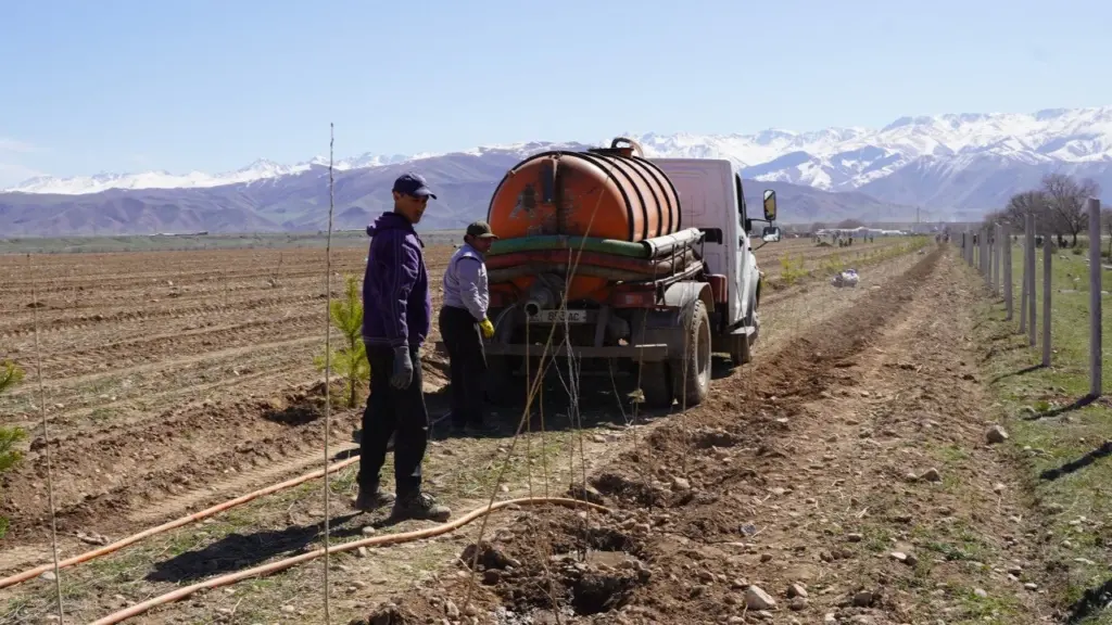Kyrgyzstan Climate Resilience the Target of New Forest Restoration Project