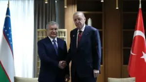 Эрдоган пригласил Мирзиёева на саммит COP31 Turkish President Erdogan, Uzbek counterpart discuss regional, global issues