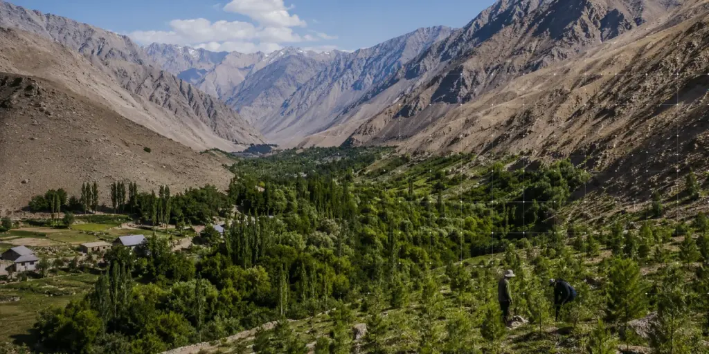 Таджикистан впервые проводит инвентаризацию лесов с помощью спутников Tajikistan Turns to Satellites to Discover How Much Forest It Has Left