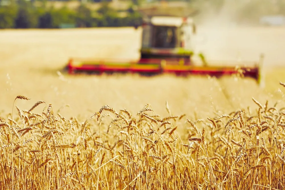 Рост экспорта сельхозпродукции Казахстана на 36% в начале 2026 Kazakhstan Agricultural Exports Rise 36% in Early 2026