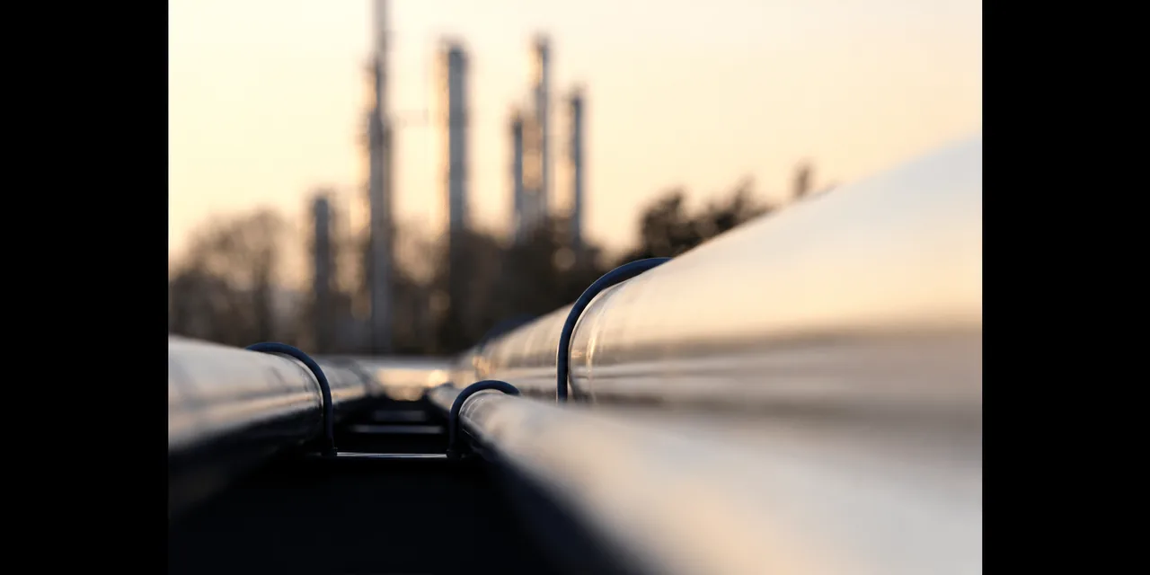 Uzbekistan Confirms Cancellation of Saneg Oil Licenses