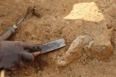 Prehistoric Rock Paintings Found in Uzbekistan’s Nurota Mountains
