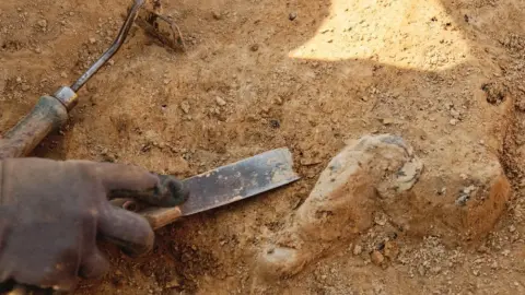 Prehistoric Rock Paintings Found in Uzbekistan’s Nurota Mountains