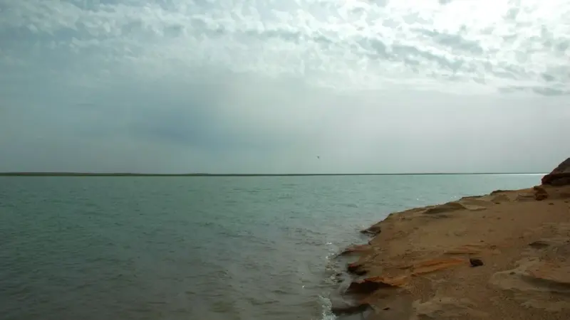 Uzbekistan Rejects Claims That the Amu Darya Is Drying Up